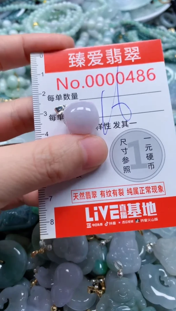翡翠未镶嵌吊坠(不含链)486