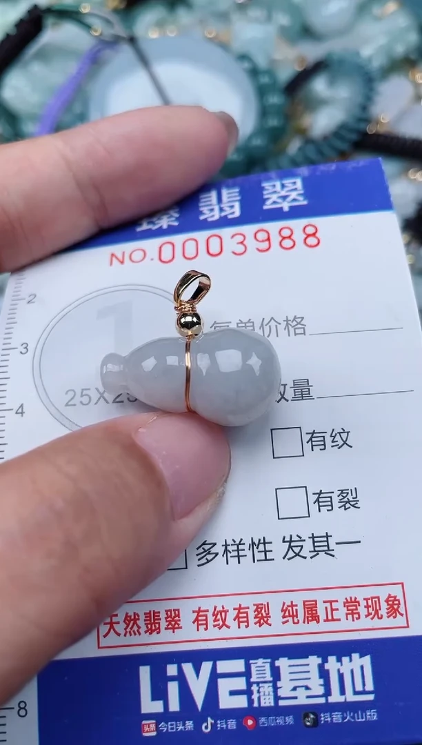 翡翠未镶嵌颈饰.0003988