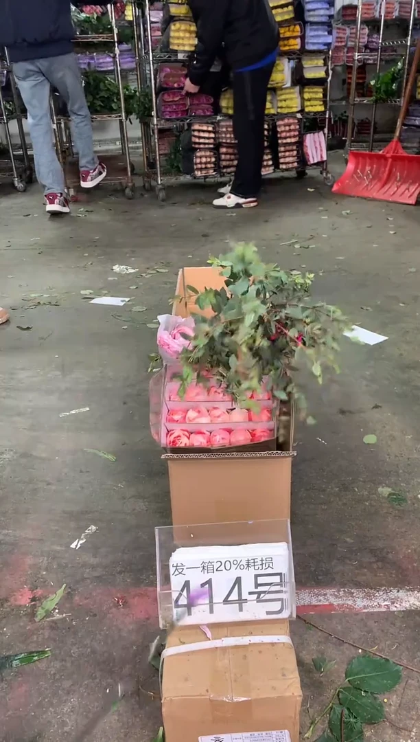 414号♥中通含20%耗损发一箱鲜花