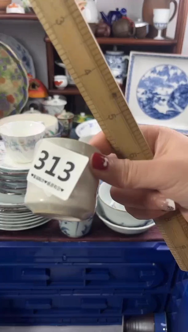 【闪购商品】瓷片313..............