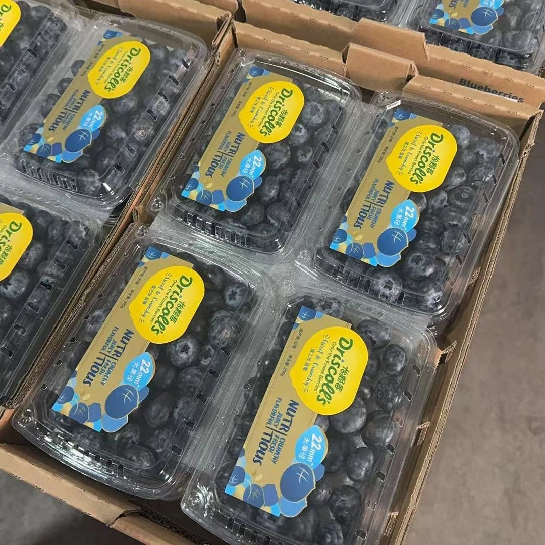 怡颗莓蓝莓 超大果 单盒200克