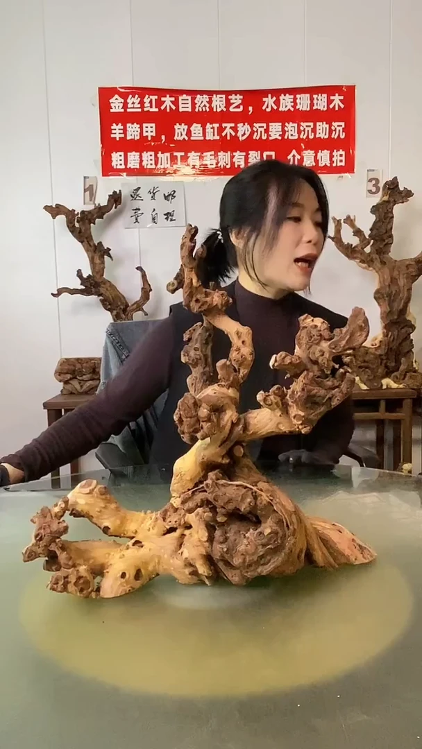 木往***，金丝红木  羊蹄甲
