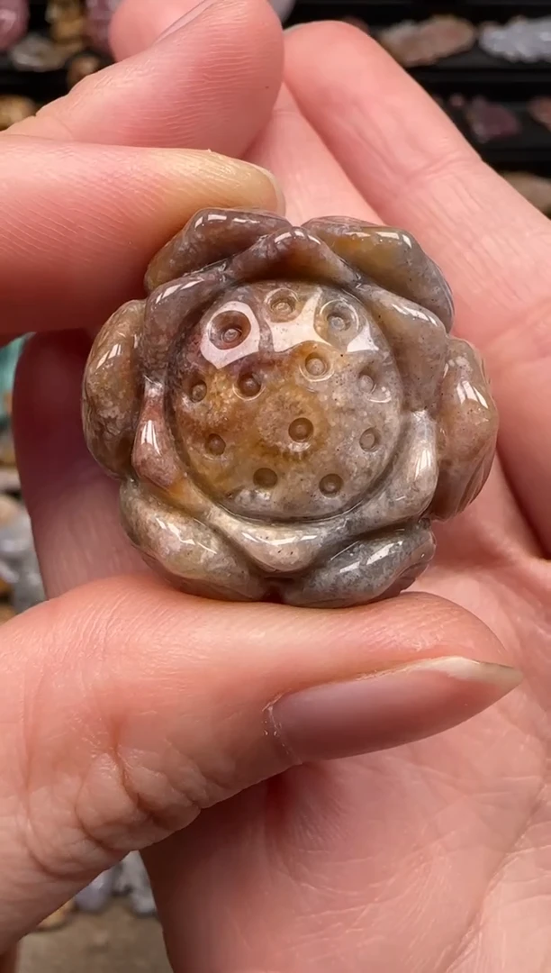 硅化珊瑚（珊瑚玉）未镶嵌颈饰144
