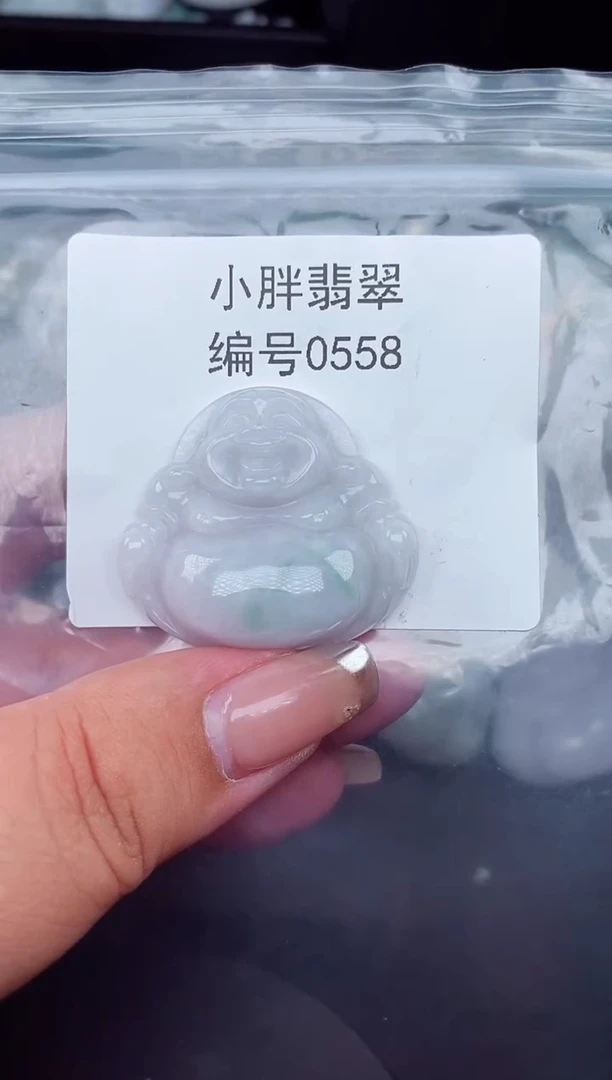 翡翠未镶嵌颈饰缅甸天然A货翡翠0558