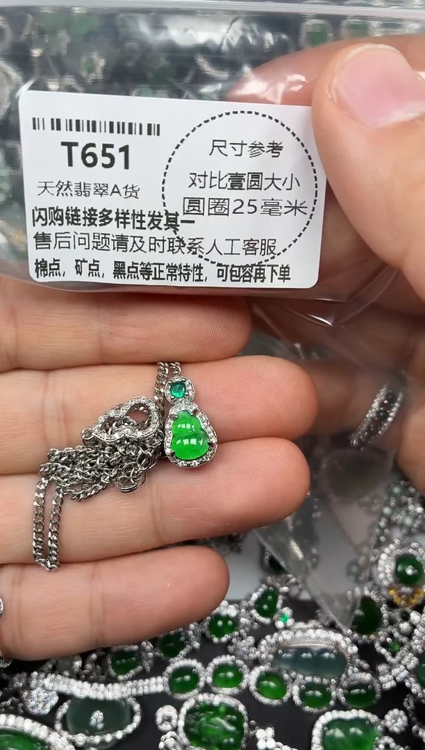 颈饰未镶嵌翡翠T651项链