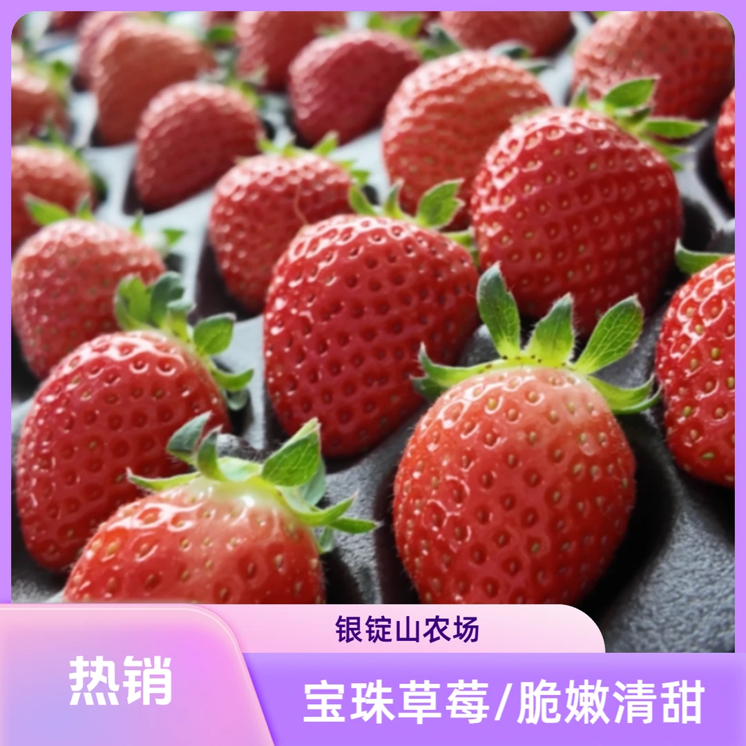 宝珠（红）草莓300g装【自然种植/奶香甜美/孕妈宝宝放心吃】山西省
