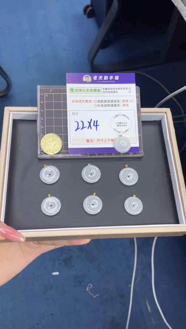 18K金镶嵌挂件翡翠平安扣FL4/多样性发其一CP配链