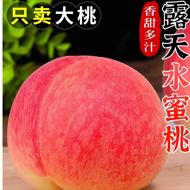 蒙阴金秋水蜜桃脆甜桃子精品现摘现发顺丰包邮山东省