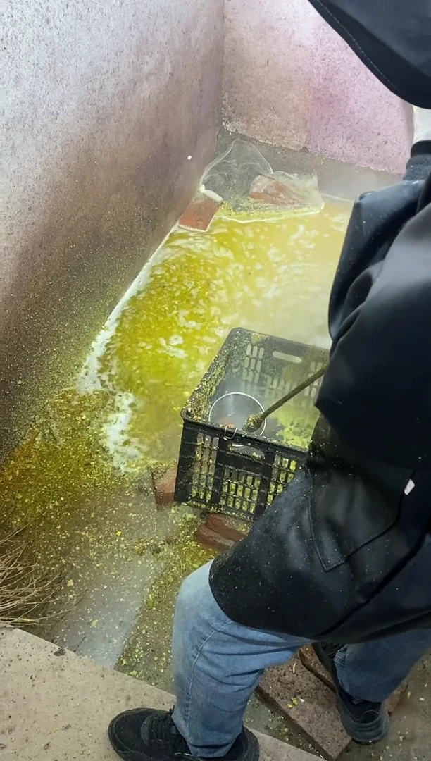 文玩核桃把件【谨慎下单，青皮开起不tui不huan！】中龙鼎1对青皮果