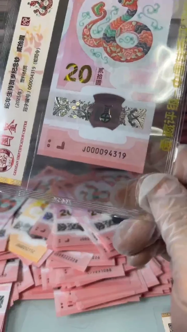 【闪购商品】塑料000094319-蛇钞单张