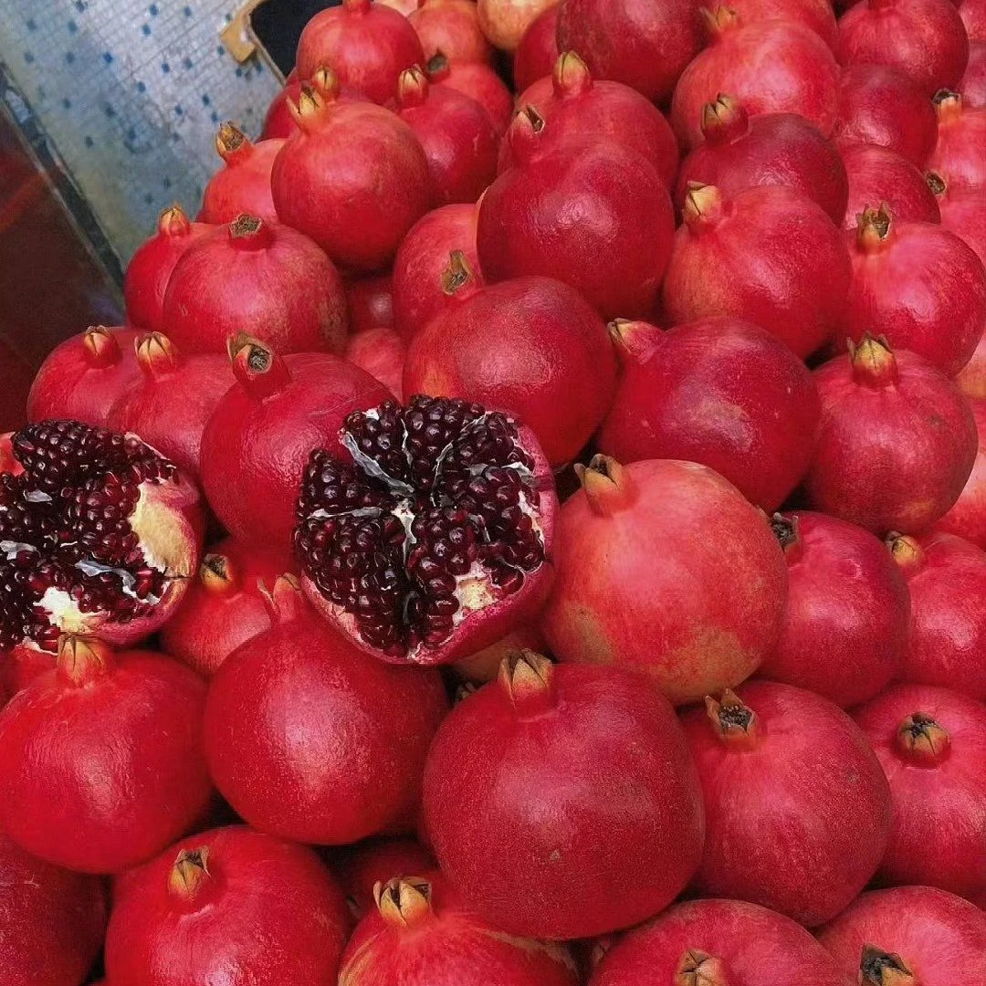 RASTA 和田皮亚曼石榴颗粒饱满甘甜爆汁