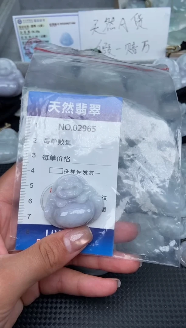 颈饰未镶嵌翡翠纯天然A货翡翠2965