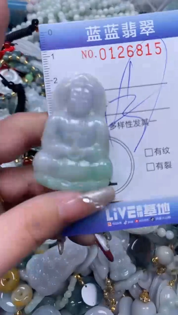 【闪购商品】翡翠颈饰未镶嵌闪购0126815多样性发其一