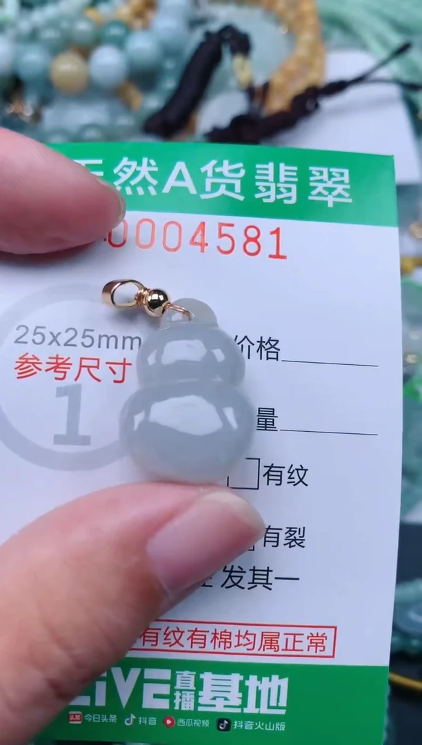 翡翠未镶嵌颈饰.0004581