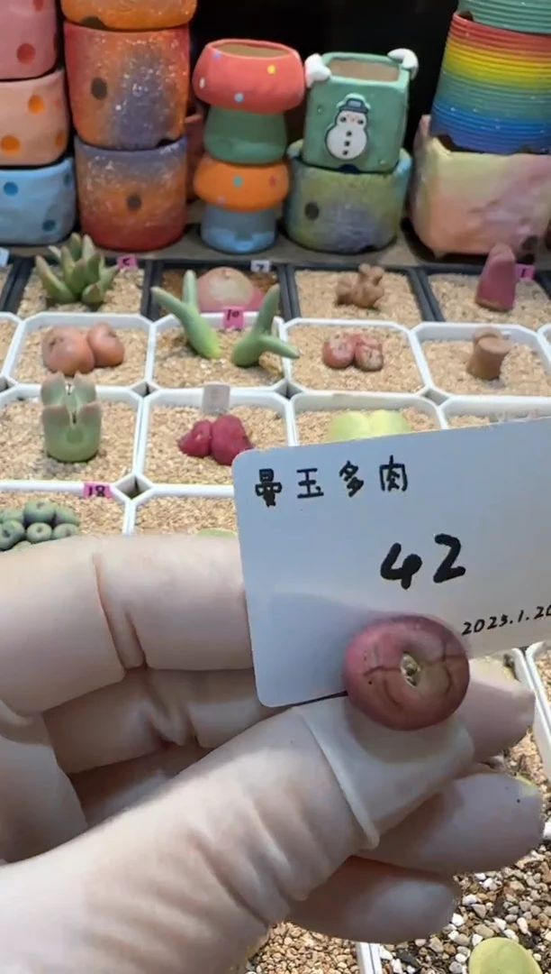 【闪购商品】25.1.20-42