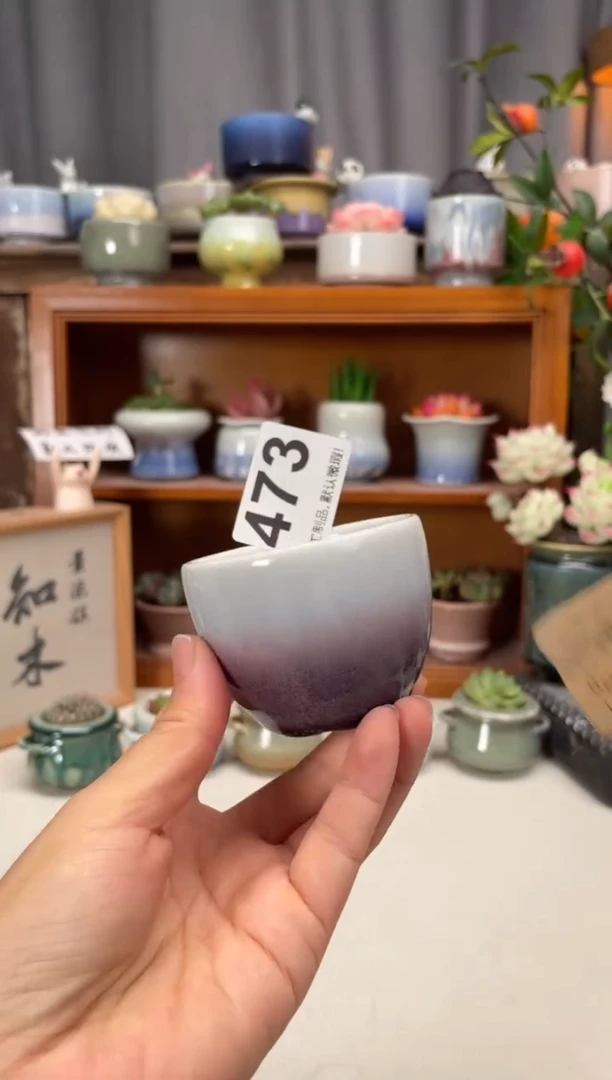 瓷片473知木小芳花盆