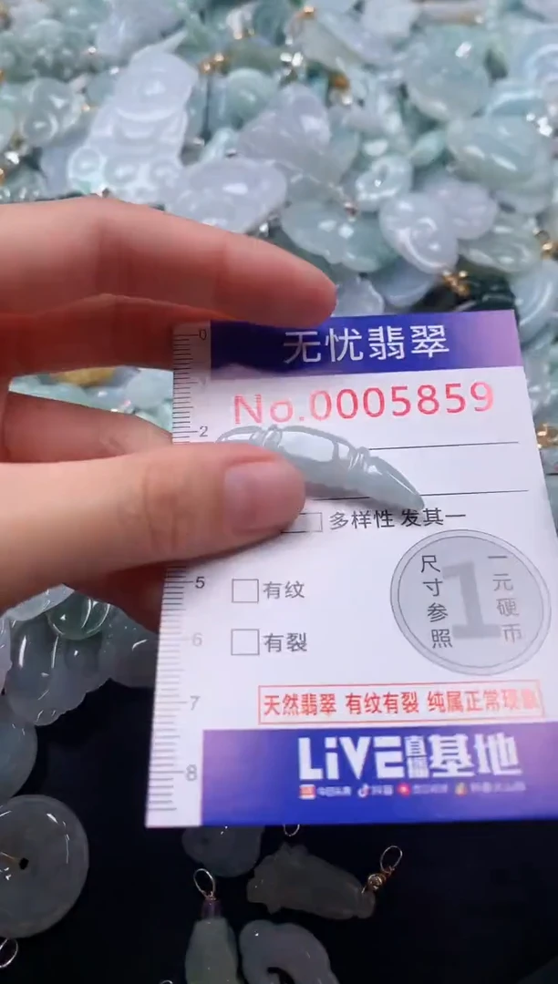 颈饰未镶嵌翡翠5859