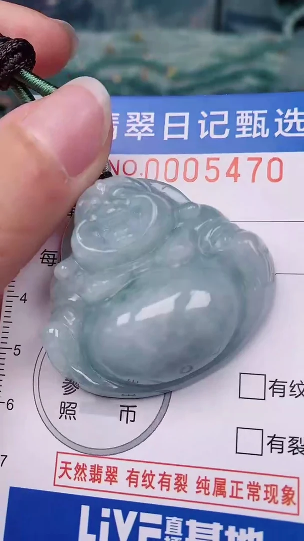 【闪购商品】翡翠颈饰未镶嵌00005470