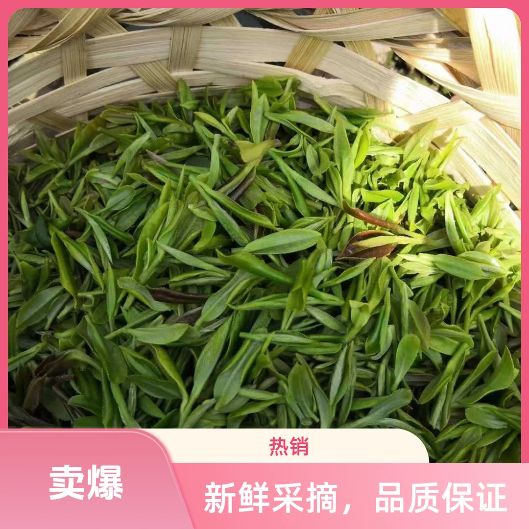 【口粮茶特价炒青】2025年新茶苏州洞庭雨前炒青绿茶纯手工