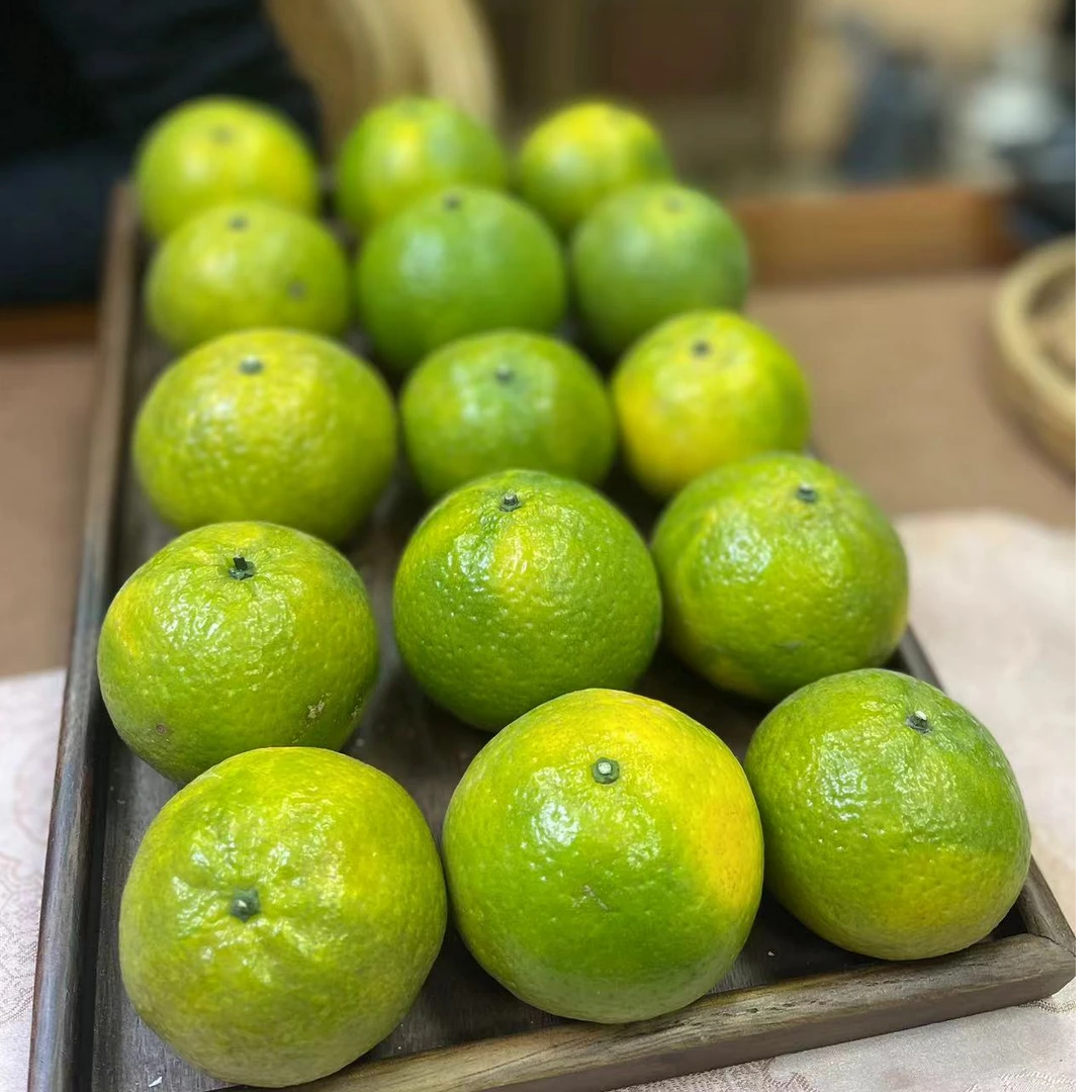 2025年圭峰山超20年老树原枝鲜果新会陈皮