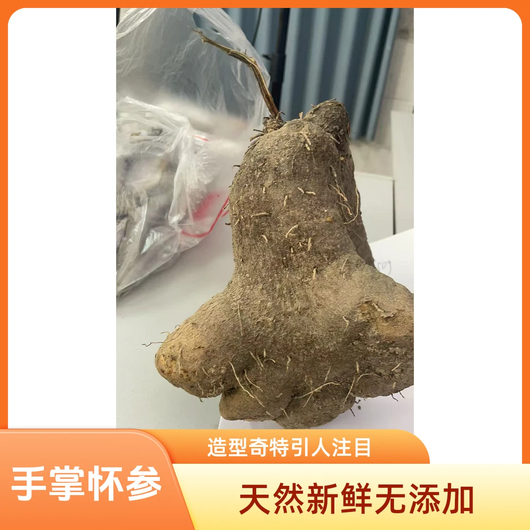 【岳阳县毛田助农】农户自种手掌怀参山药