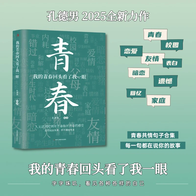 我的青春回头看了我一眼 孔德男2025新作 句子文案 治愈成长 遗憾