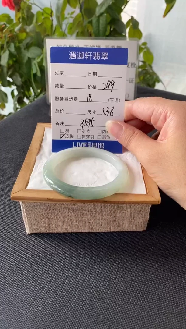 未镶嵌手镯翡翠53.5圈口 B595编码