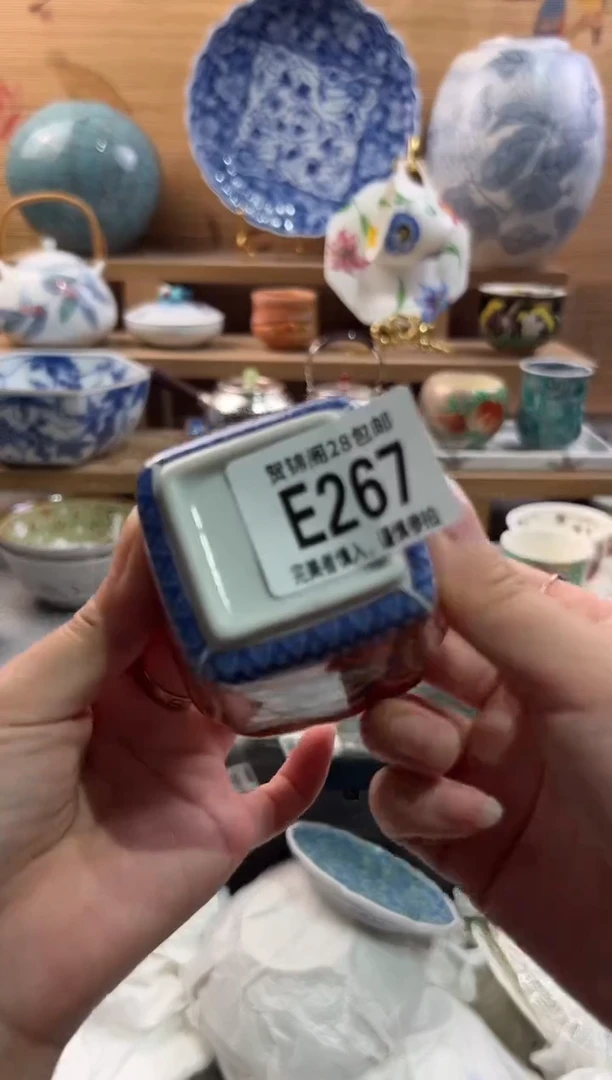 瓷片天****1      E267
