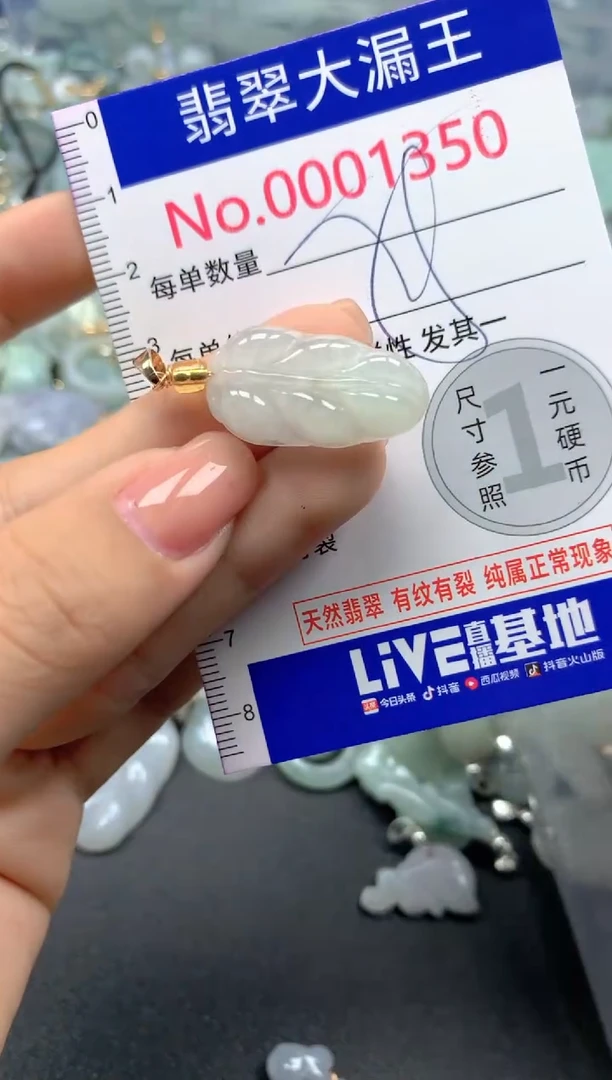 颈饰未镶嵌翡翠1350