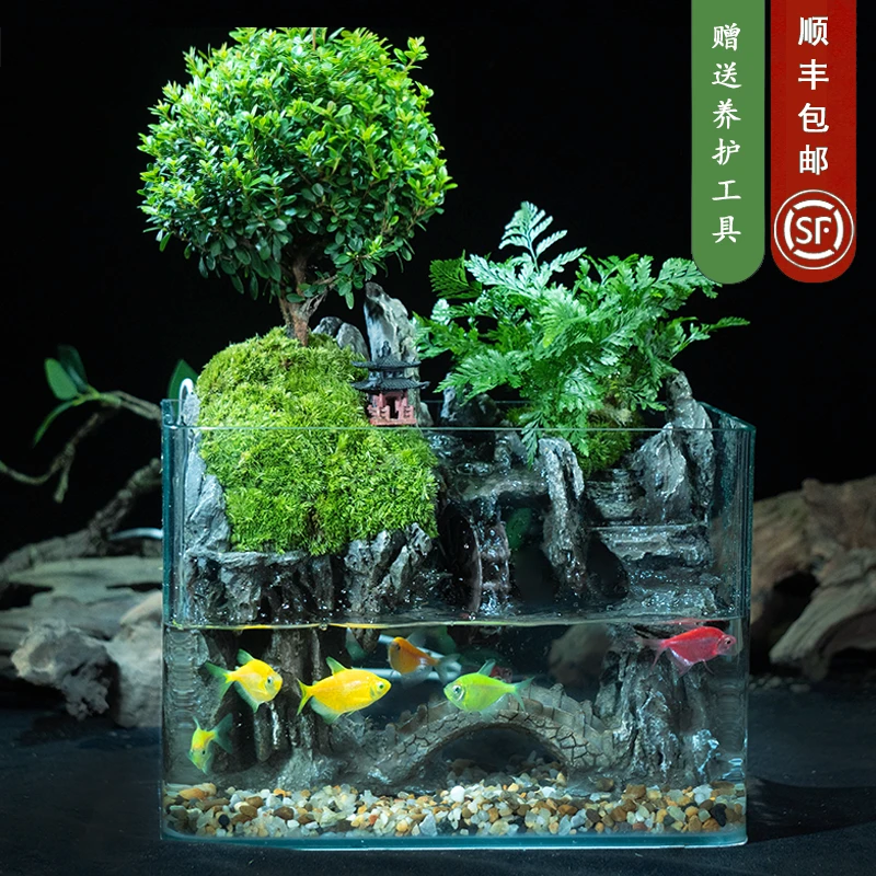 【石来运转】小叶赤楠国风山水流水可拆洗桌面微景观植物25*16*18