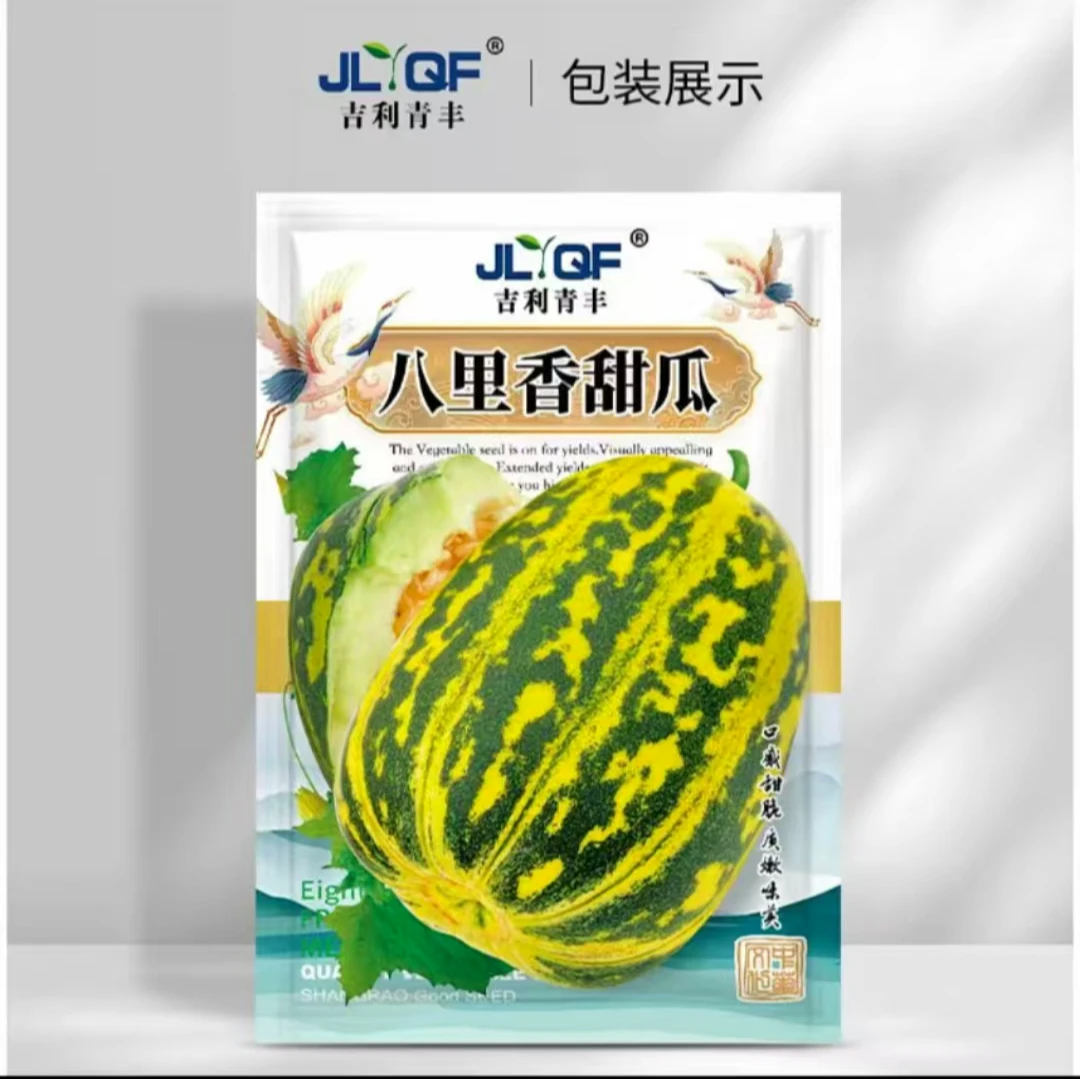 四季早熟甜瓜籽特甜八里香瓜种子田园基地均可种植超甜八里香