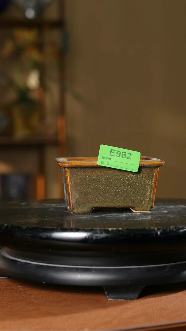 982   掌中宝小盆