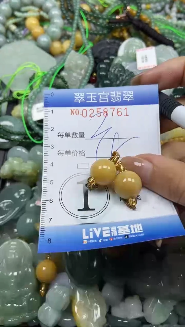 颈饰未镶嵌翡翠闪购C0258761
