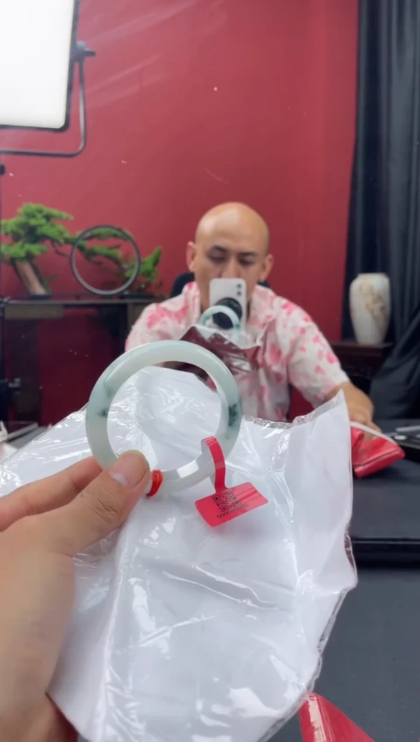 未镶嵌手镯翡翠4