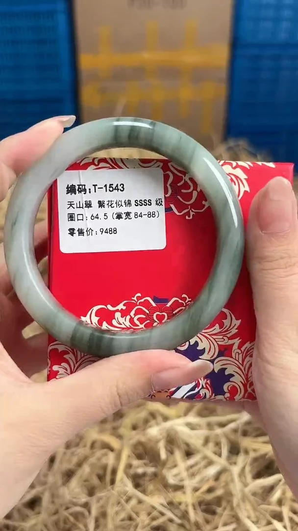 未镶嵌手镯石英质玉T-1543