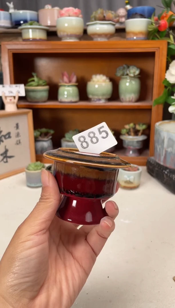 瓷片885知木小芳花盆