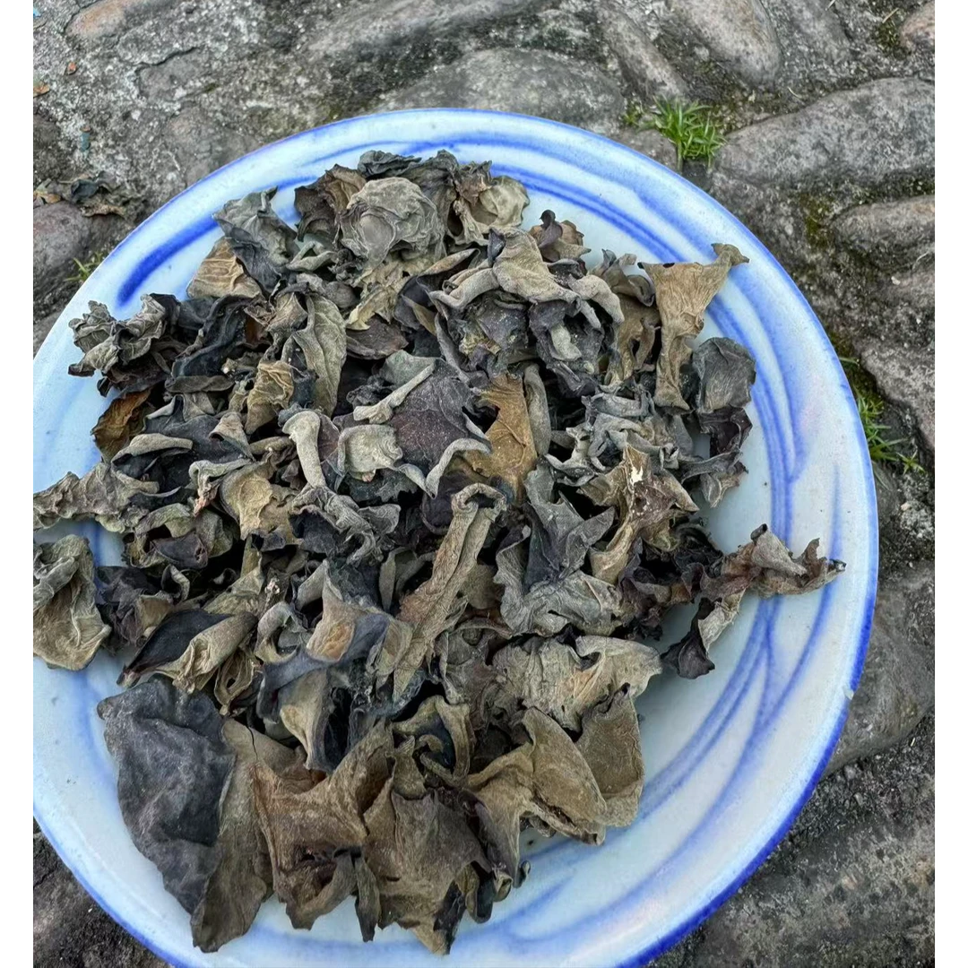 高山 农家 野生木耳1（介意大小慎拍）