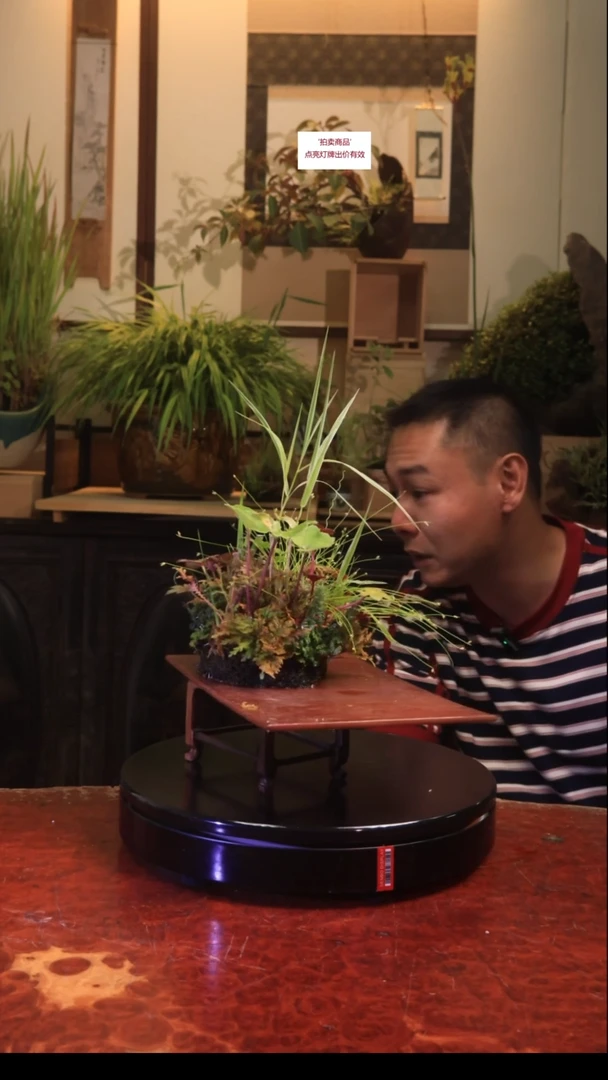 无花朵更富有天怒听