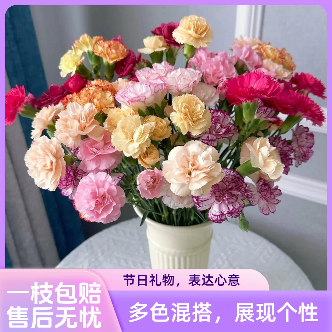 【杨苏莹花房】康乃馨盒子鲜切花 云南鲜花任意花材两单顺丰空运
