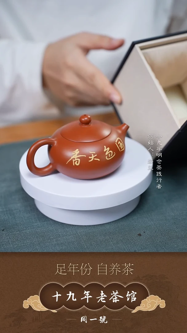 茶壶紫砂宜兴原矿紫砂壶7号