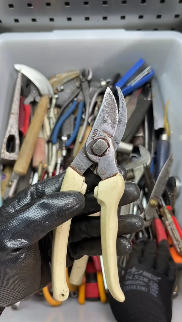 铁荞*花工具工具工具工具
