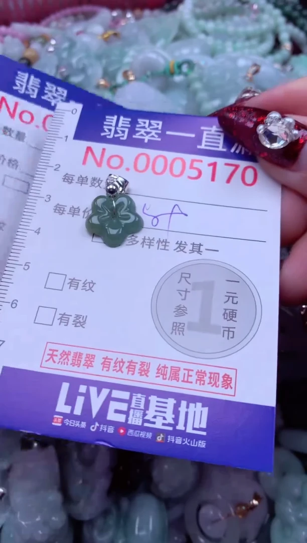 吊坠(不含链)未镶嵌翡翠5170