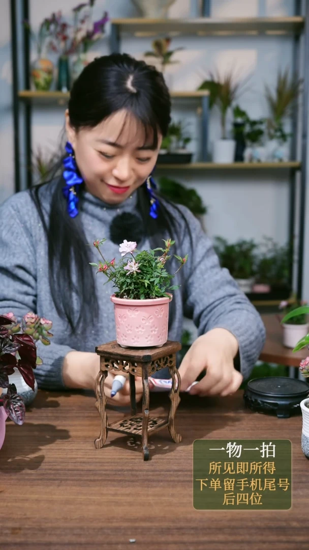 【闪购商品】3--6183姬乙女粉