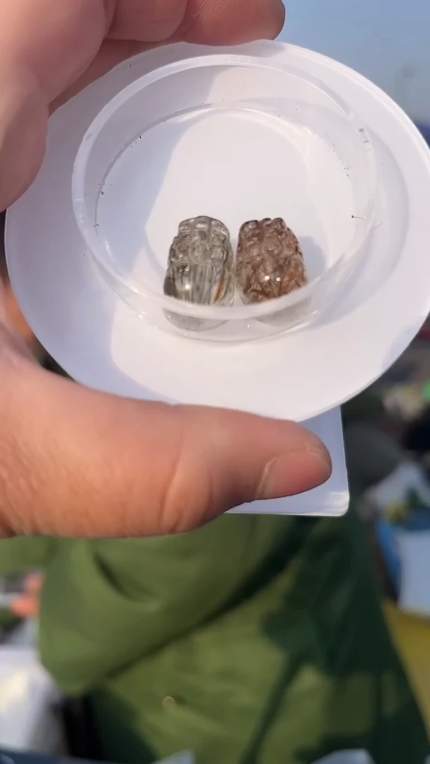 【闪购商品】发晶吊坠(不含链)未镶嵌天然多样性发一mm