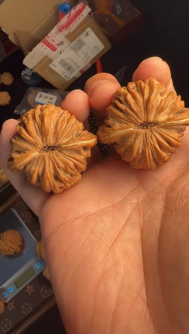 把件核桃43.8/44尺全品汉高楼