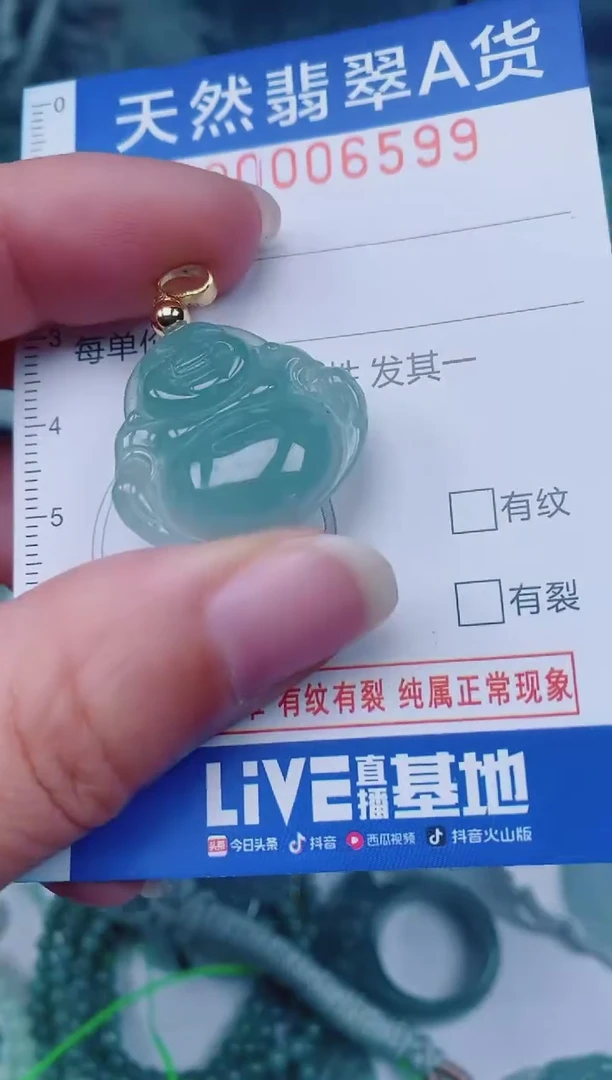 颈饰未镶嵌翡翠00006599