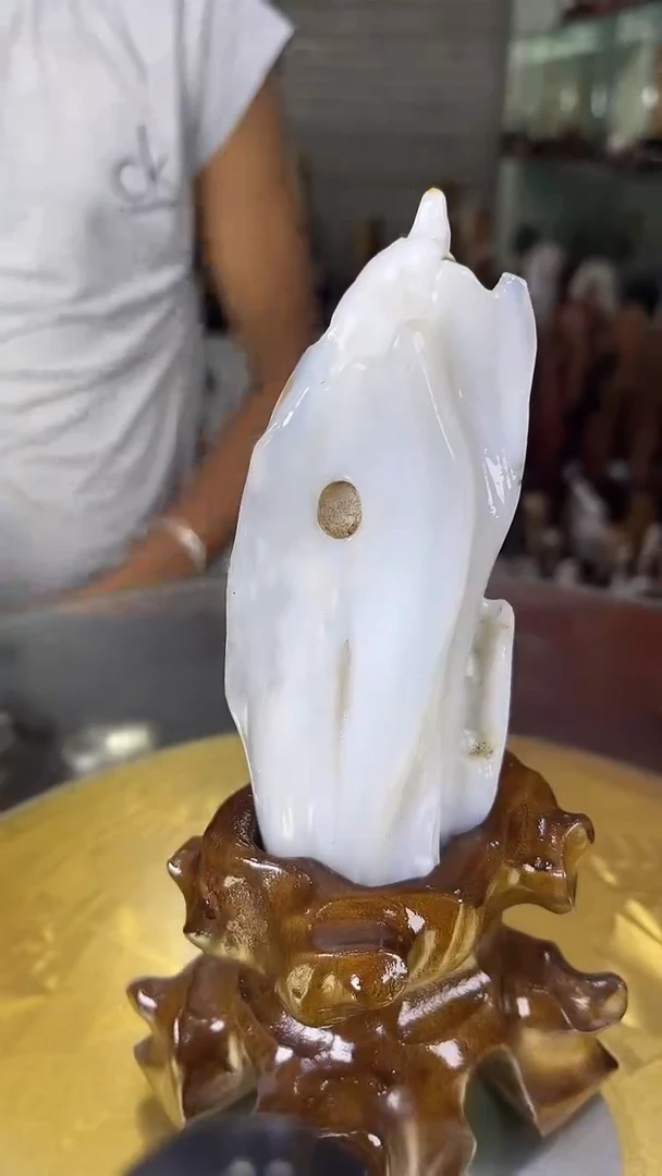 硅化玉珠宝奇石未镶嵌缅甸天然树化玉