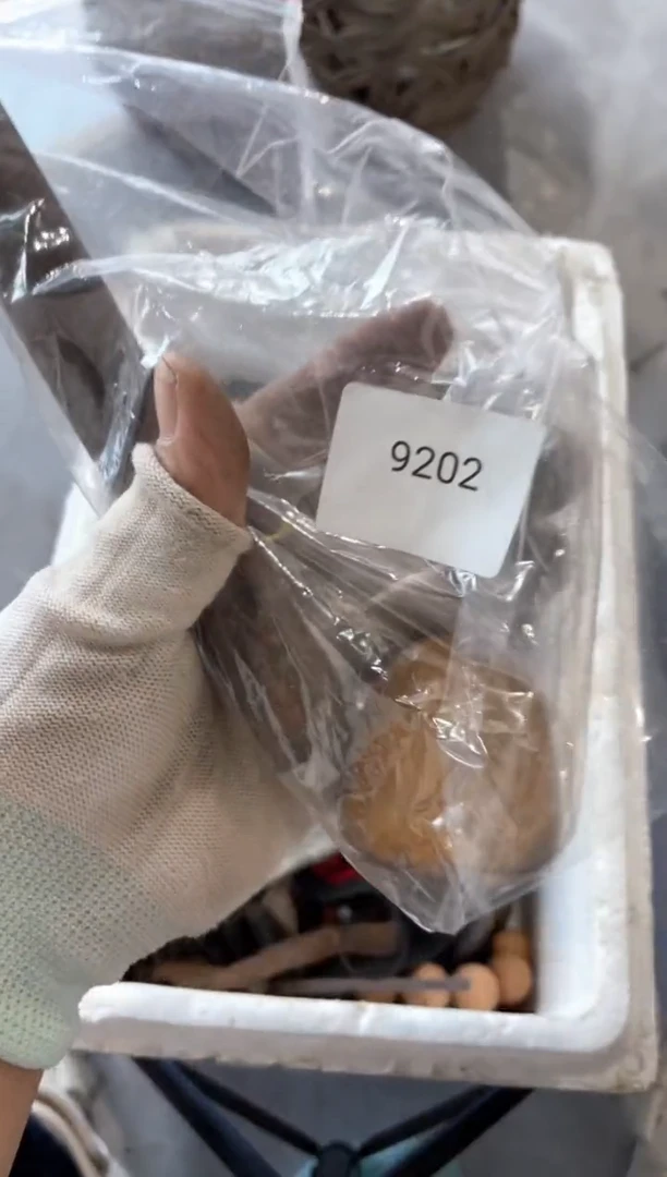 器标****车55667788202506159202