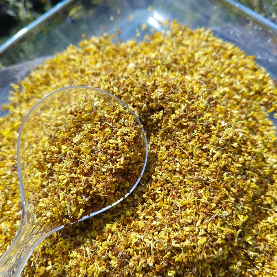 【曹主任】云贵高原 桂花