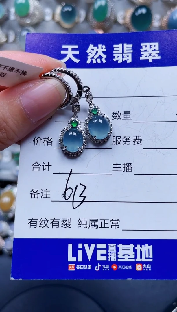 银S925镶嵌翡翠耳饰613